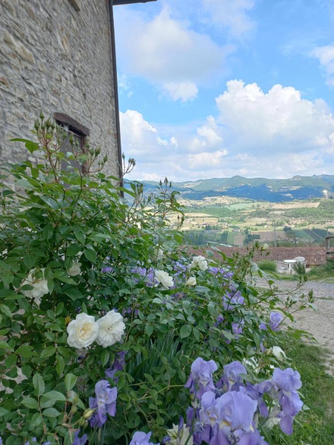 La Luna Buona Villa Vesime Exteriör bild